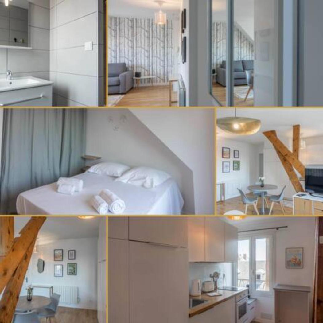 Le Vieux Marche *T2* Lägenhet Orléans Exteriör bild